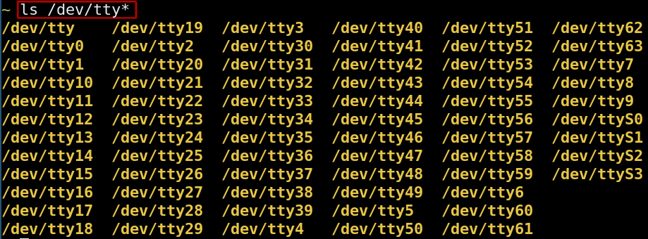 List files in dev directory starting with 'tty'.